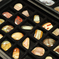 Wealth & Prosperity