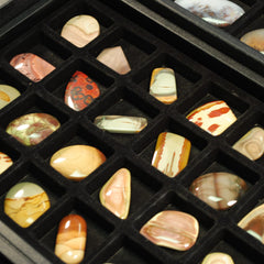 Wealth & Prosperity